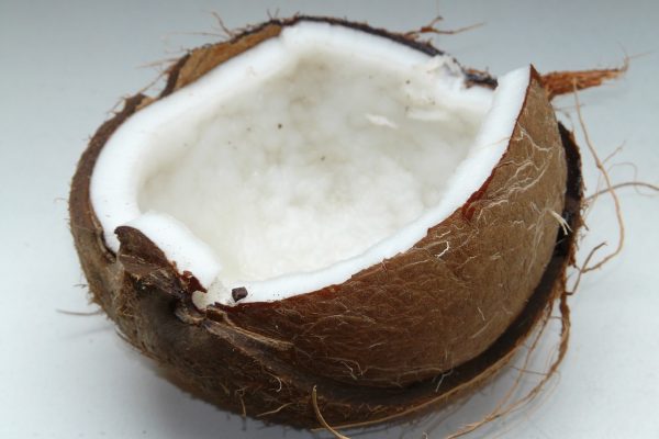 coconut, coconuts, exotic-60395.jpg